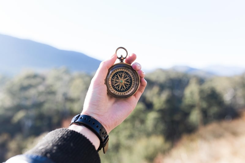 Navigate Promotion Paths